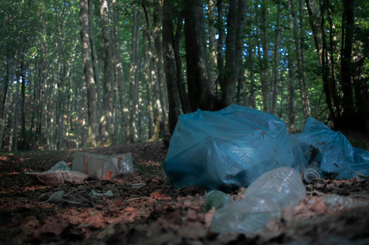 The Hidden Costs and Long-Term Impact of Plastic Bags