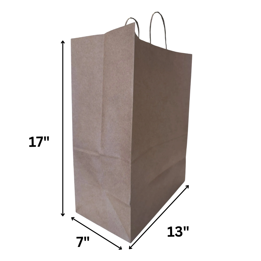 LILY#1_Kraft Paper Twisted Handled Bag